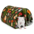 Pet Tunnel