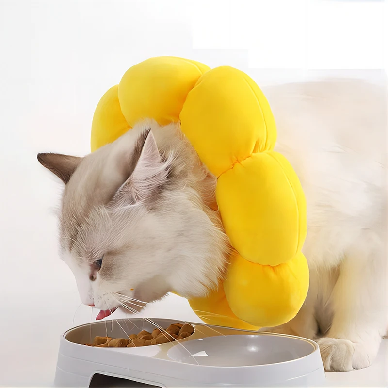 Nuevo anillo ajustable de girasol para gato Elizabeth con gato suave antirotura con anti-lecos sin extraña después de neutralizar - imagen 3