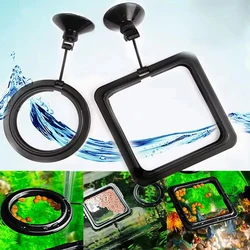 Bandeja alimentadora flotante para acuario – Accesorio para peces