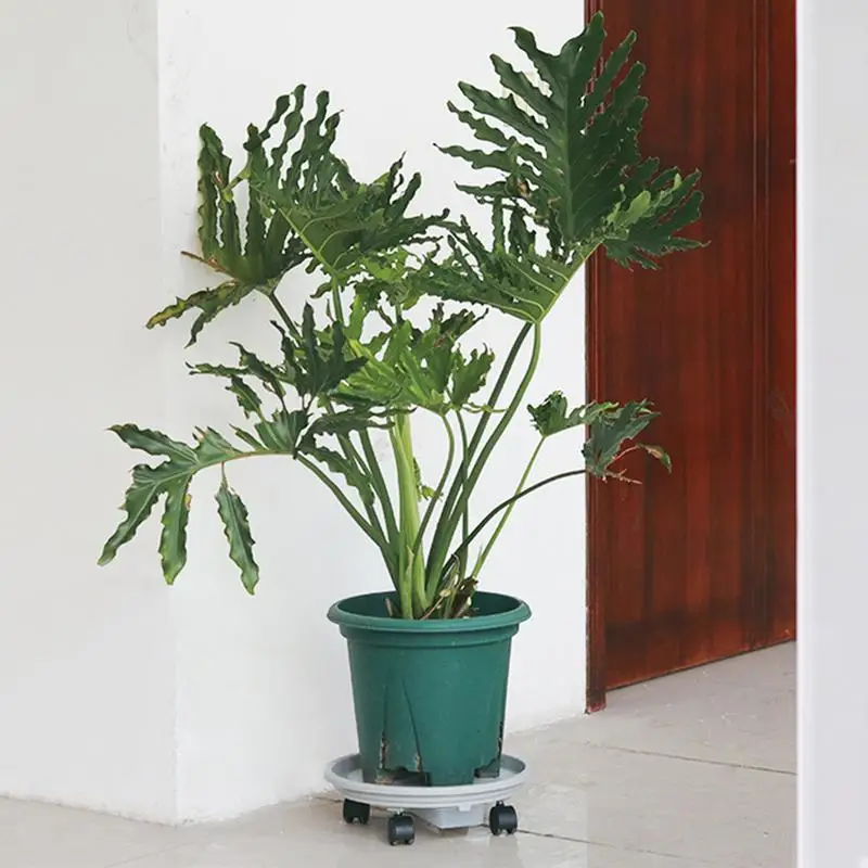 Plataforma rodante para macetas de flores con ruedas para el hogar, estante de rodillos para macetas, platillo para plantas rodantes - imagen 4