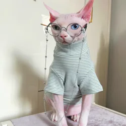 Suéter térmico verde para gatos Sphynx y Devon Rex – Jersey manga larga