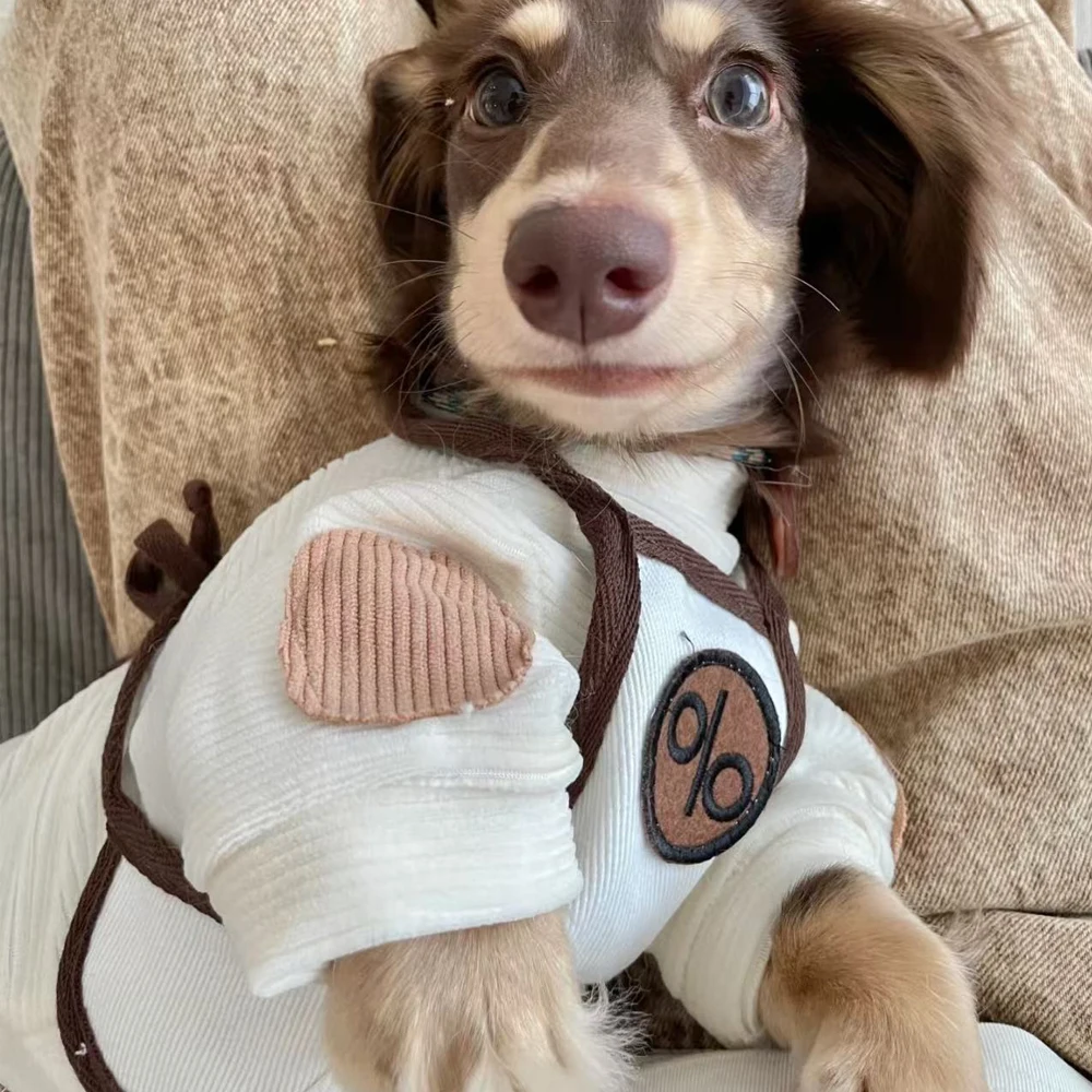 Camiseta transpirable para perro