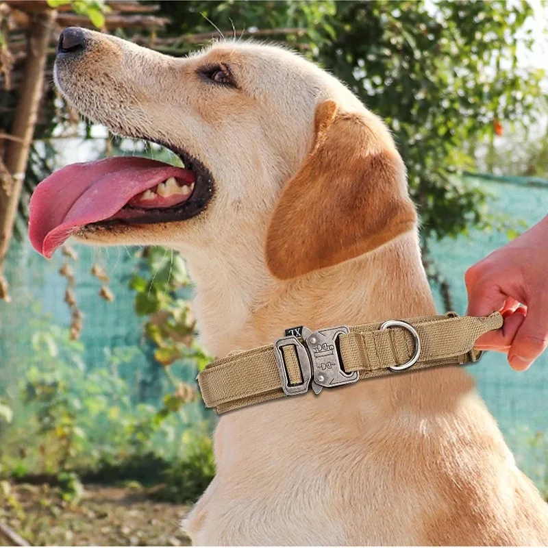 Conjunto de correa y collar de nailon para perro grande - imagen 5