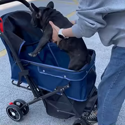 Carrito de paseo ligero y plegable para mascotas, gatos y perros