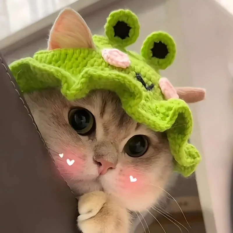Gorro para mascotas hecho a mano, gorro tejido elástico para gatos, gorros para cachorros y gatitos, gorro tejido, accesorios para sesión de fotos de fiesta, decoración, accesorios para gatos - imagen 3