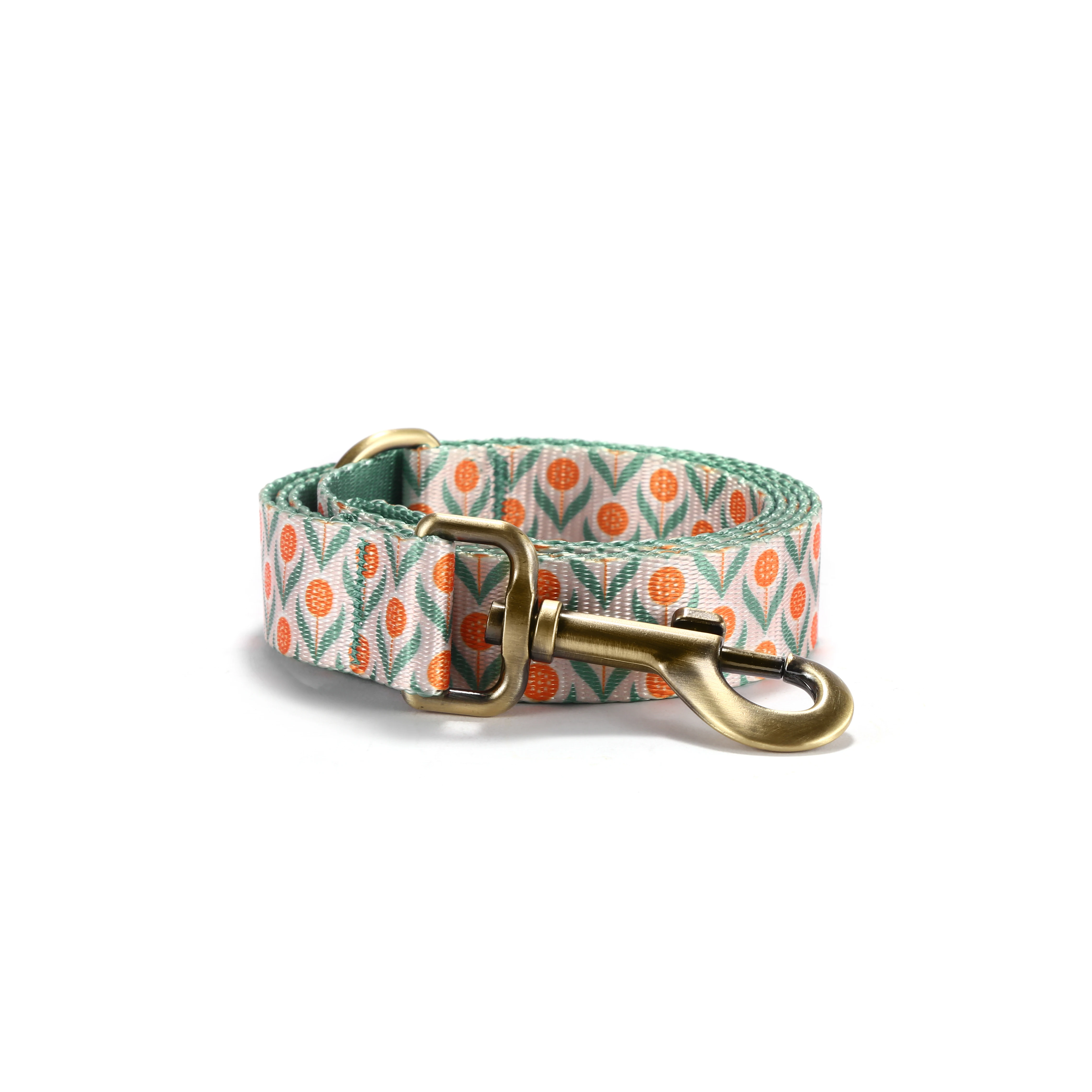 PLATTCO, venta al por mayor de fábrica, correa de planta de huevo escalfado impresa de poliéster, Collar para mascotas, correa para perro PDL347 - imagen 5