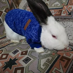 Suéter para gatos y perros pequeños de punto: cálido y suave