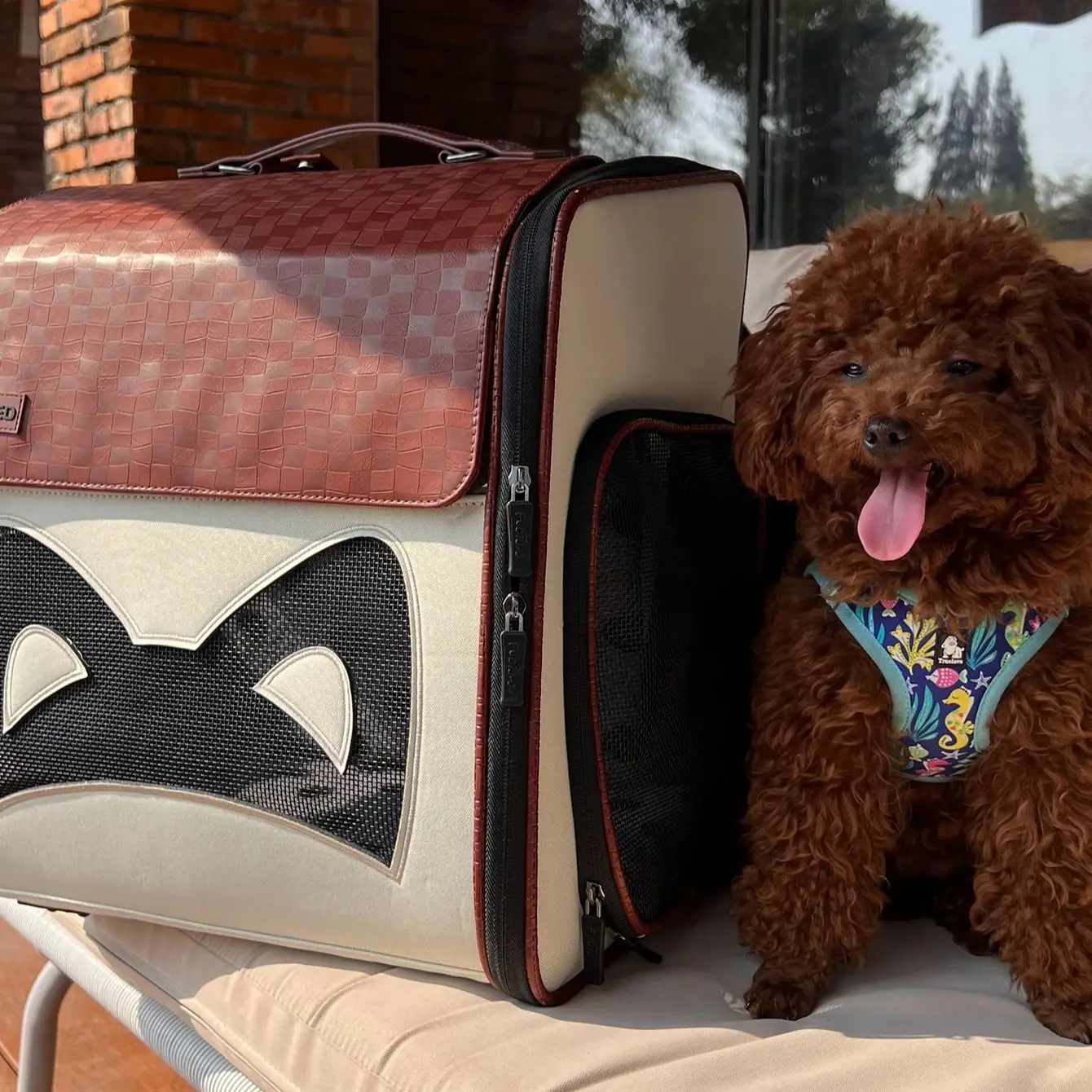 PEDFULED Mochila expandible para mascotas de cuero PU premium Aberturas laterales de doble cara, panel trasero expandible Ideal para gatos y perros pequeños - imagen 5
