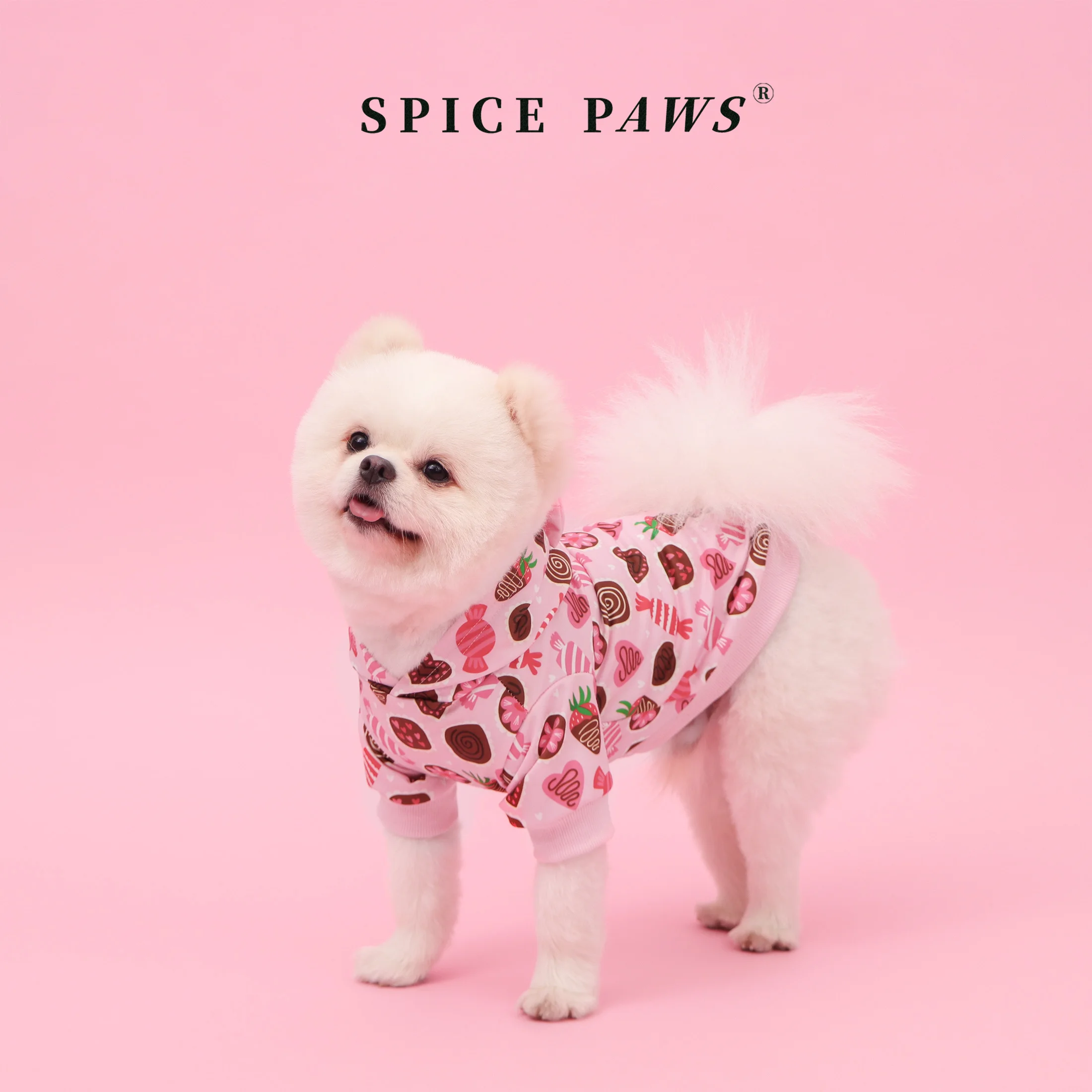 Sudadera con capucha para perros de todos los tamaños - imagen 3