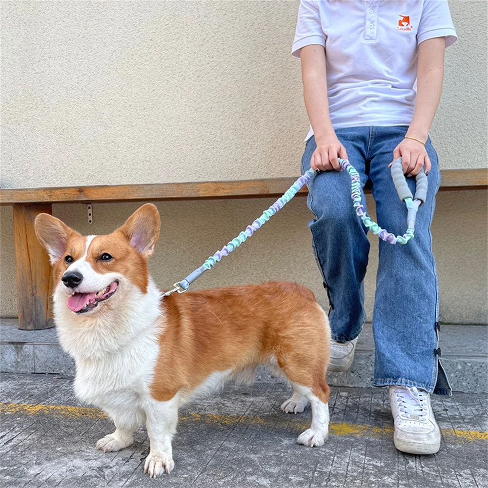 Correas fuertes para perros, mango acolchado suave y cómodo, cuerda de tracción para mascotas, correa reforzada para perros pequeños, medianos y grandes, plomo para cachorros - imagen 2