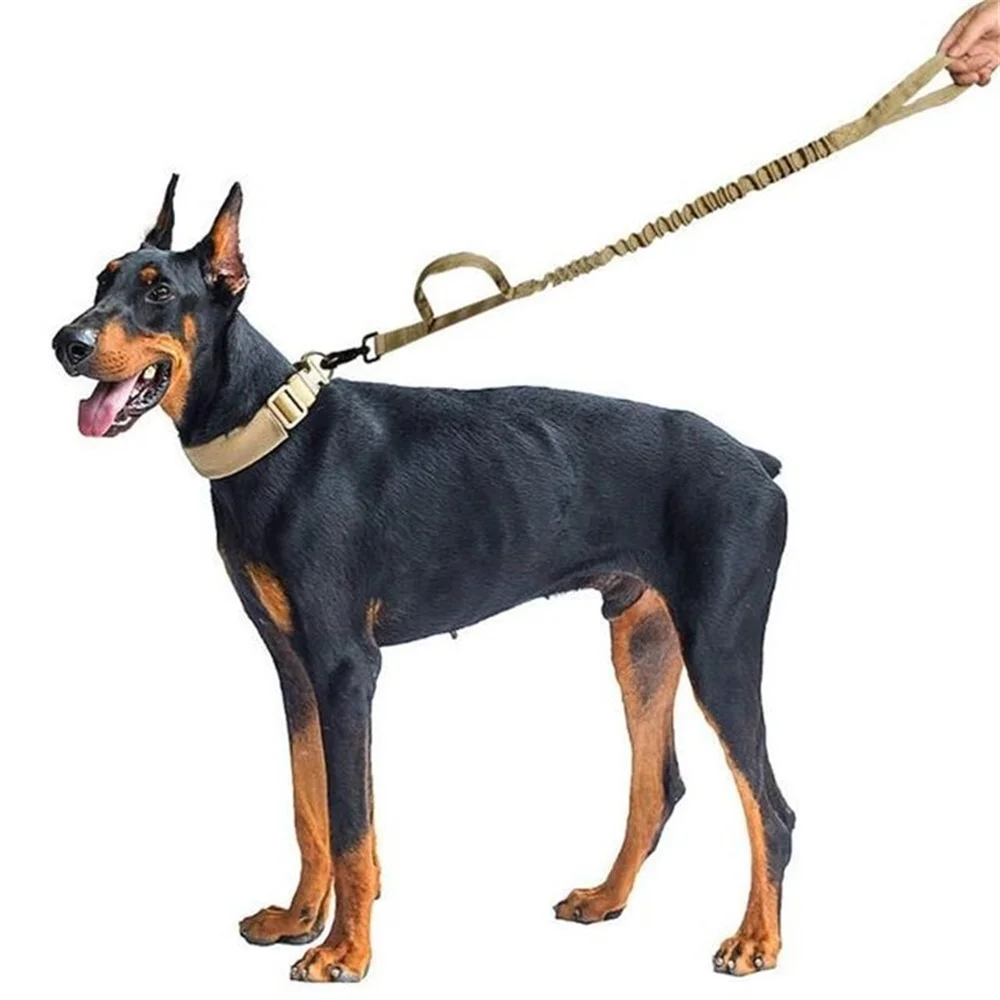 Collar y correa ajustable para perros grandes Doberman Pastor Alemán - imagen 4