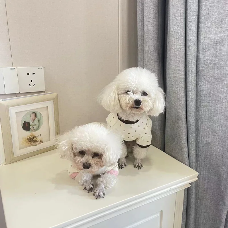 Sudadera con cuello redondo y estampado para perro, abrigo sencillo de dos pies para mascota, oso de peluche, camisa básica para perros pequeños, Otoño e Invierno - imagen 4