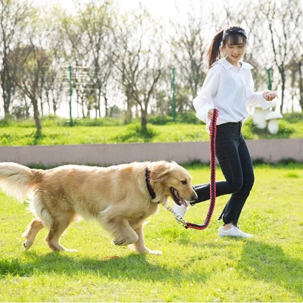 Correa antitirones para perros medianos y grandes – Reflectante y resistente - imagen 5