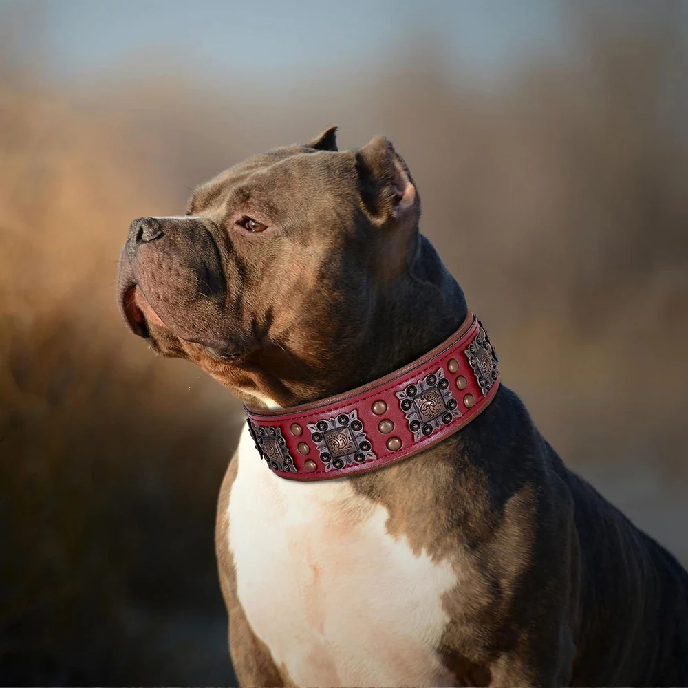 Collar con púas de cuero para Pitbull y Pastor Alemán - imagen 5