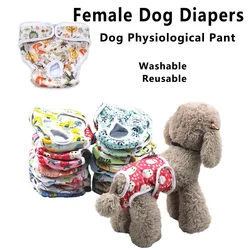 Pañales lavables reutilizables para perro – Ropa protectora adaptable