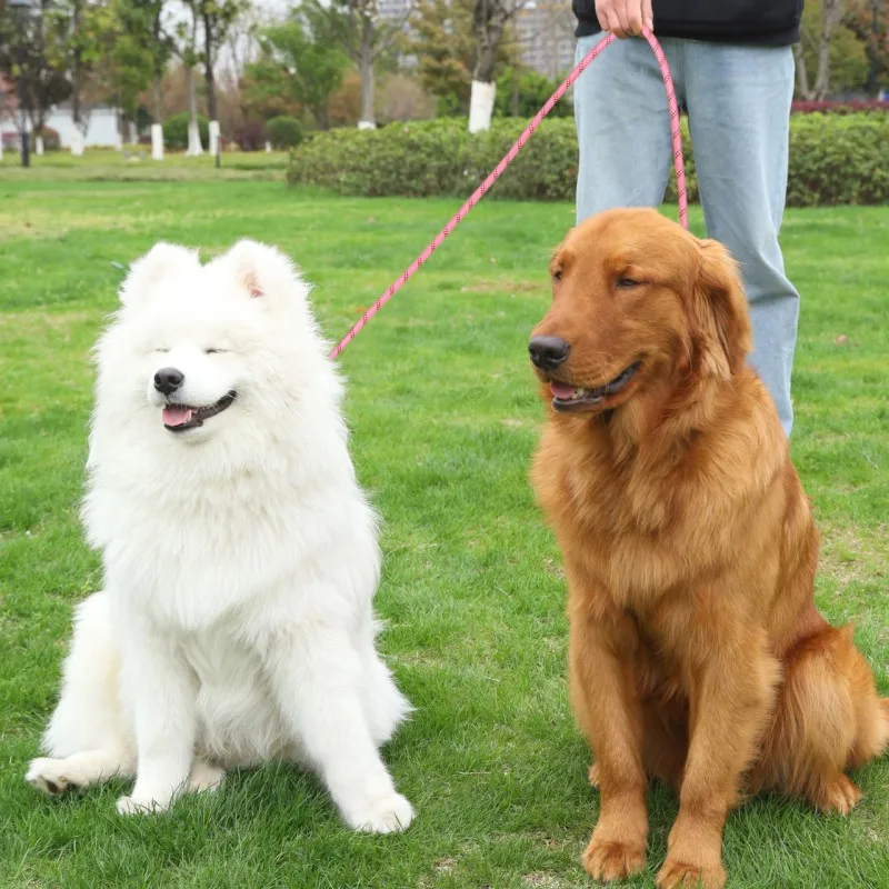 Correa para perro, correas manos libres para caminar para perros, correa ajustable para perros, cadena reflectante para perros, cuerda de tracción multifuncional de 230cm - imagen 3