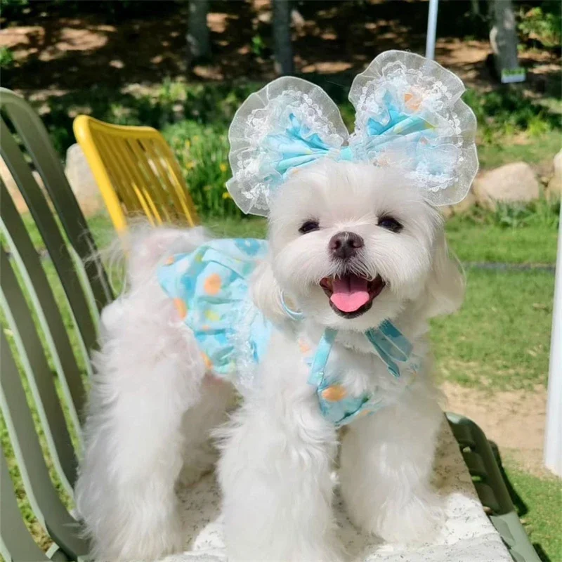 Ropa de encaje azul para perros, vestido azul con estampado Floral, vestido de lujo con botones de perlas y tocado para perros pequeños, ropa para cachorros