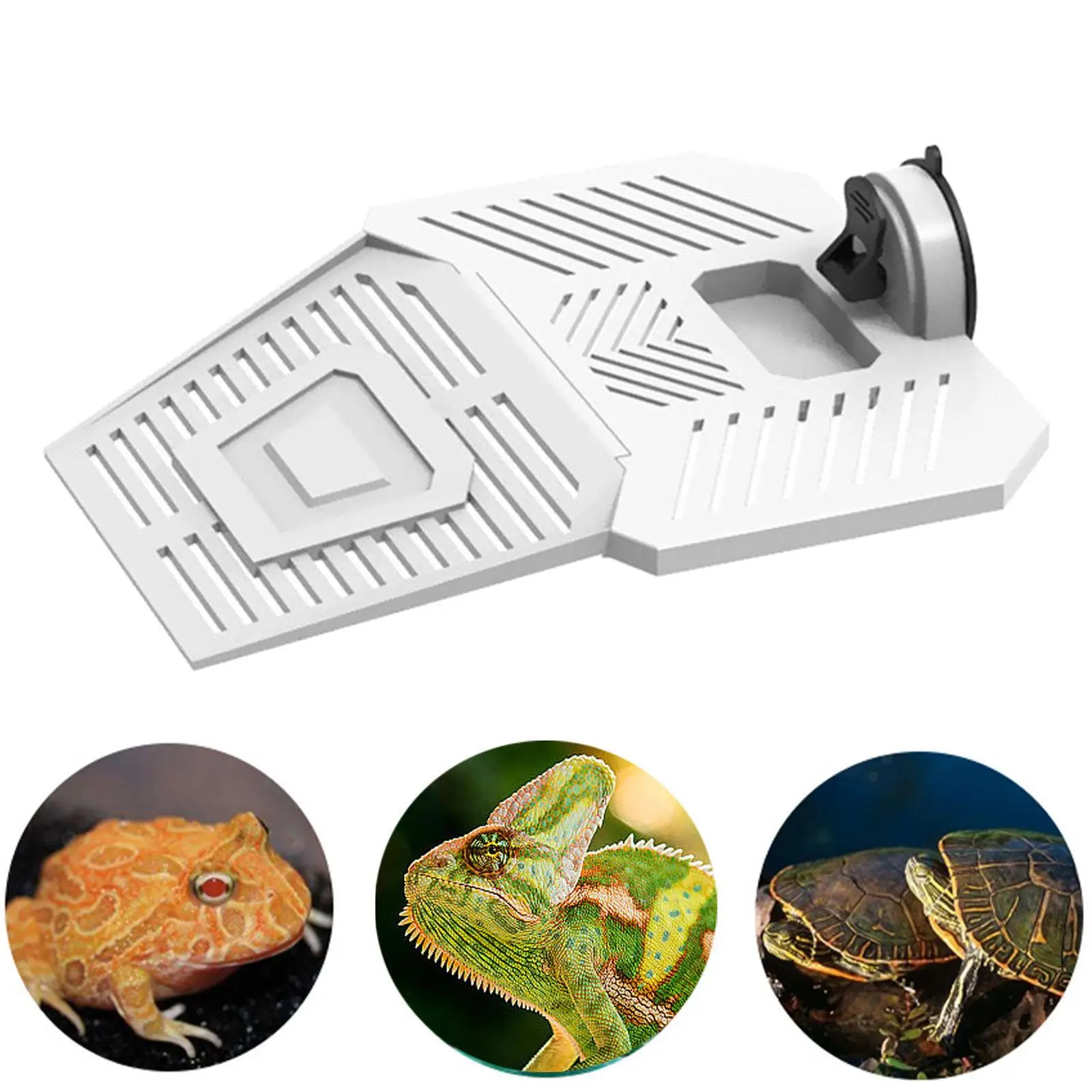 Turtle Basking Platform Wharf Tortoise Resting Terrace Reptile Basking Dock Removable for Pet Bearded Dragon Easy to Install Turtle Basking Platform Wharf Tortoise Resting Terrace Reptile Basking Dock Removable for Pet Bearded Dragon Easy to Install