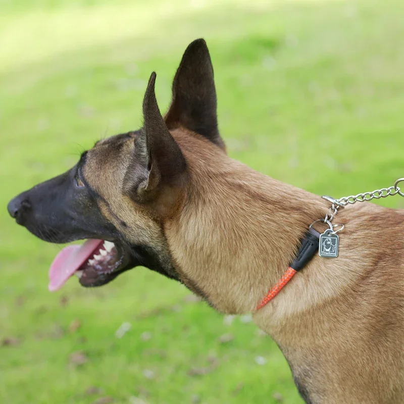 Winhyepet Collar estrangulador para perros, cadena P para mascotas de viaje, entrenamiento para caminar, collares genuinos para cachorros, perros medianos y grandes, Pitbull - imagen 3