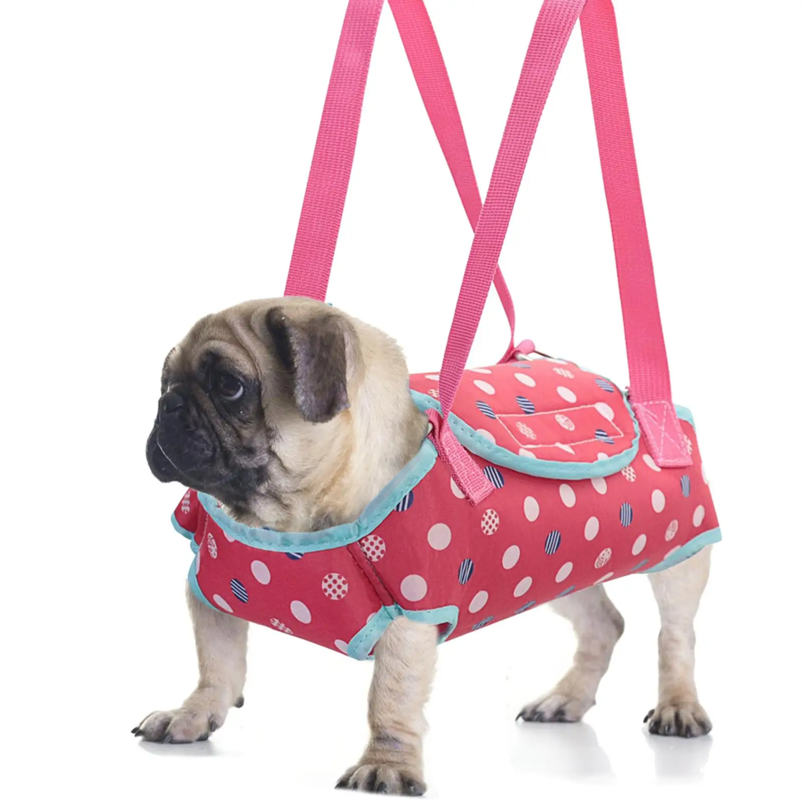 Hands Free Carrier Front Facing Breathable Pet Slings Bag Handbag Pouch for Rabbit Cats Small Medium Dogs Hiking Motorcycle