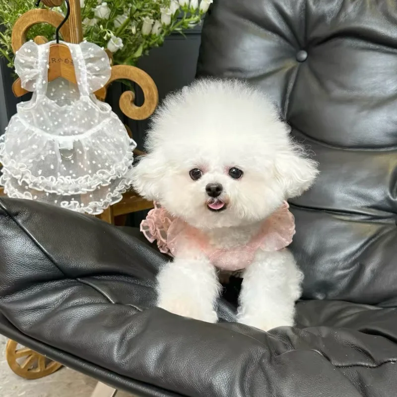 Vestido de verano para perro Maltés con encaje transpirable y tirantes