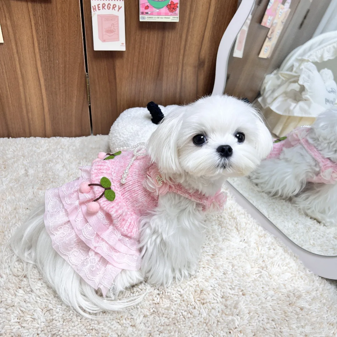 Vestido de cereza tejido para otoño/invierno para mascotas, vestido de princesa, suéter para perros y gatos, camiseta sin mangas de peluche Schnauzer, ropa para cachorros - imagen 2