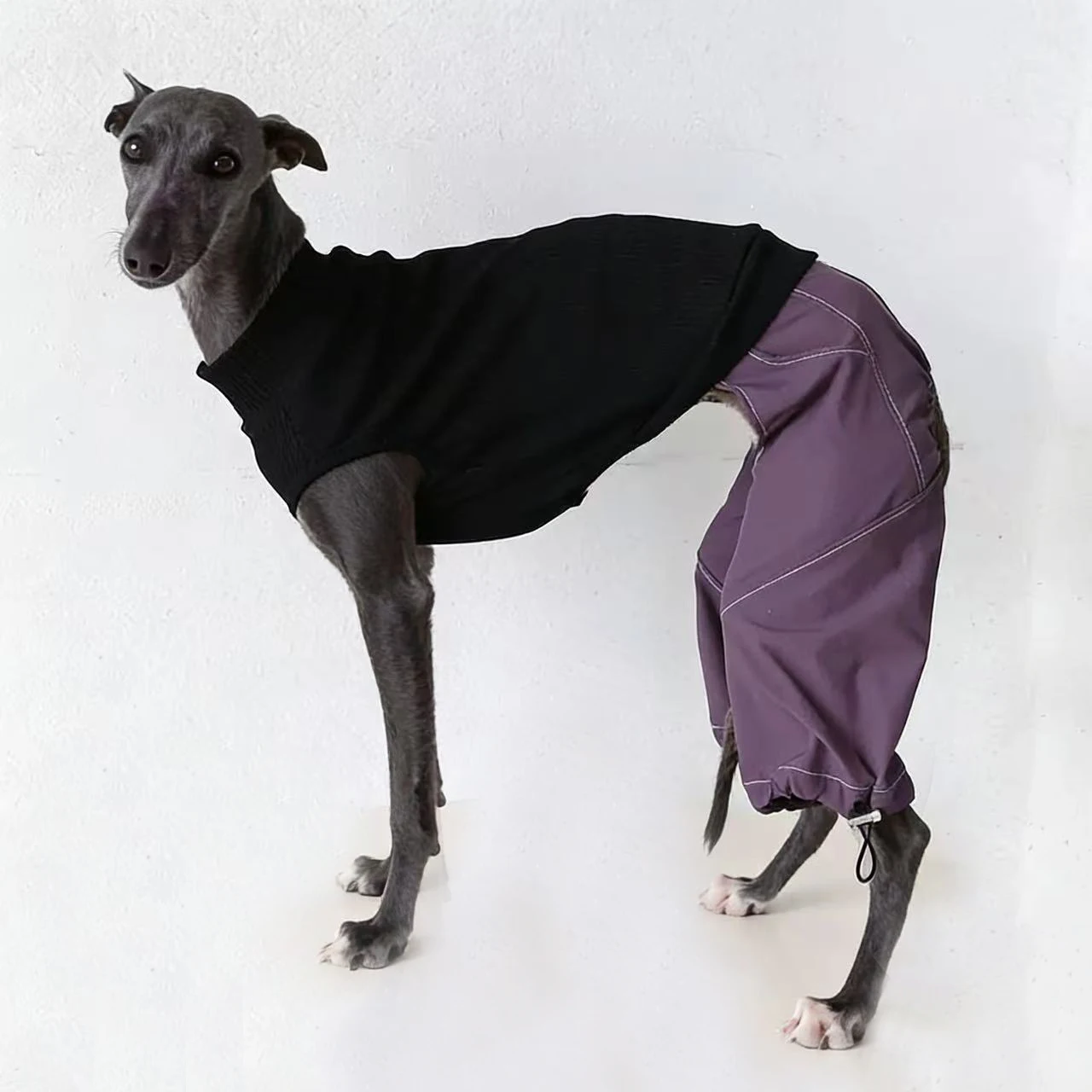 Pantalón jersey elástico para galgo italiano y whippet – Abrigo 4patas - imagen 5