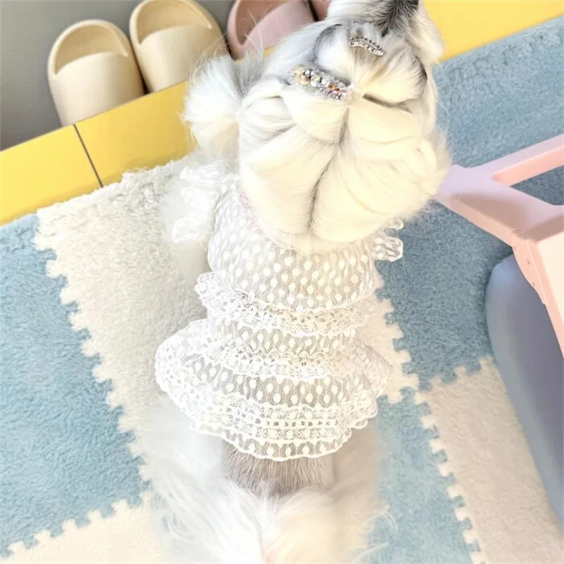 Pet Spring Polka Dot Lace Little Fairy Lace Skirt Cute Lace Base Shirt Teddy Vest Dog Cat Clothes Puppy Clothes - imagen 4
