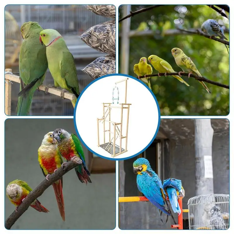 Parque de juegos de madera para pájaros, soporte de gimnasio, juguete de ejercicio, escalera para loros, gimnasio para periquitos - imagen 5