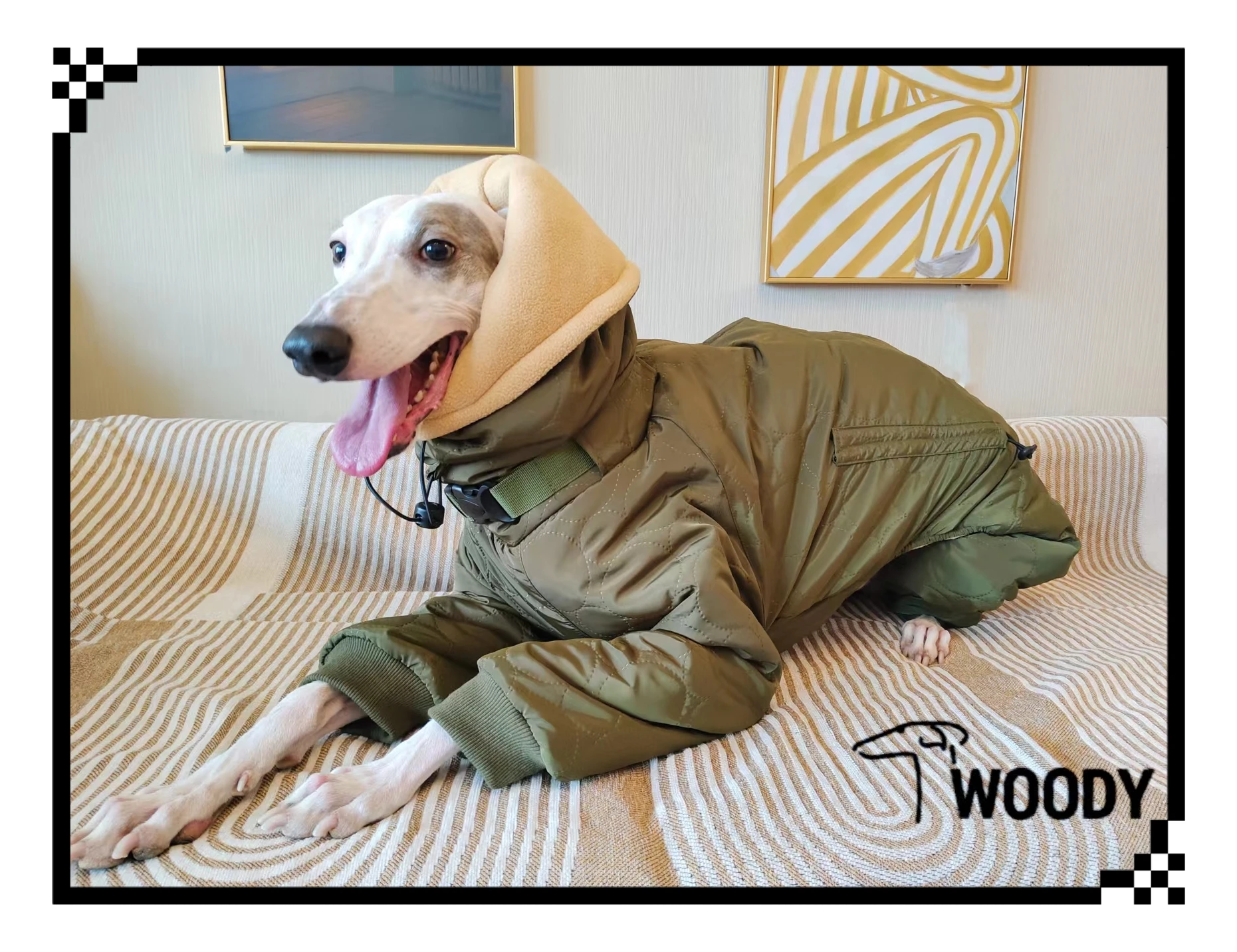 Spuer-ropa gruesa y suave para perros, disfraces de galgo, ropa cálida para perros, abrigo Whippet, chaqueta de galgo italiano - imagen 2
