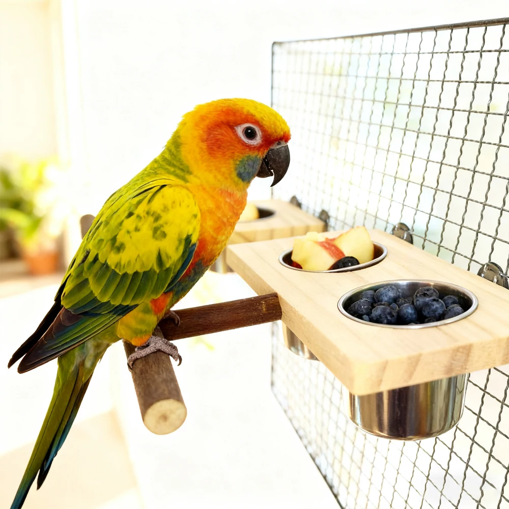 Soporte de madera con comedero para loro – Acero inoxidable - imagen 3