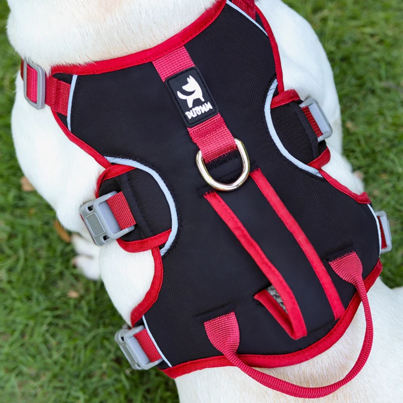 Arnés para perros, chaleco ajustable sin tirones, correa para el pecho, correa de plomo de seguridad reflectante para perros pequeños, medianos y grandes, accesorios para mascotas - imagen 4