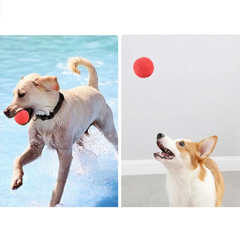 Juguetes interactivos para perros, bolas elásticas sólidas de goma, juguete para moler dientes masticables para cachorros, Material TPR para mascotas, suministros para juegos, productos de bolas para perros - imagen 3