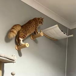 Estantes de macramé para gatos con hamaca y escalones colgantes