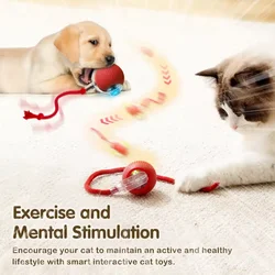 Juguete interactivo de pelota para gatos, bola rodante automática con cola, juguete interactivo inteligente recargable para mascotas, juguete inteligente para gatos
