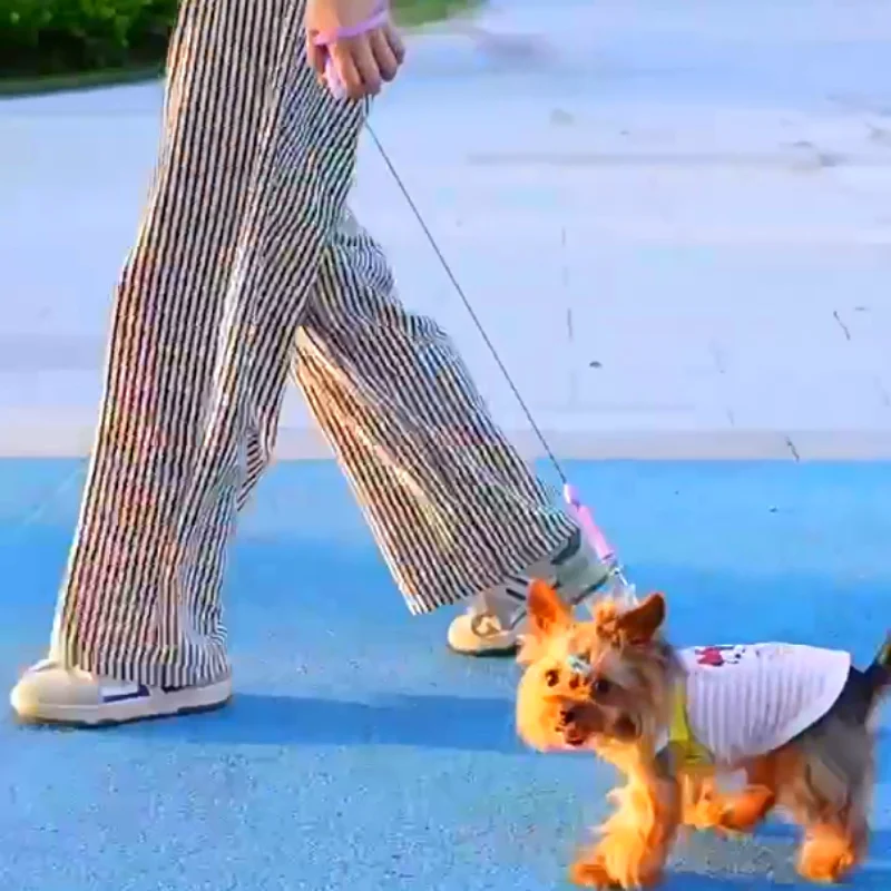 La nueva correa telescópica automática de tres metros de dos colores está disponible para perros y gatos que caminan, adecuada para perros y gatos pequeños - imagen 2
