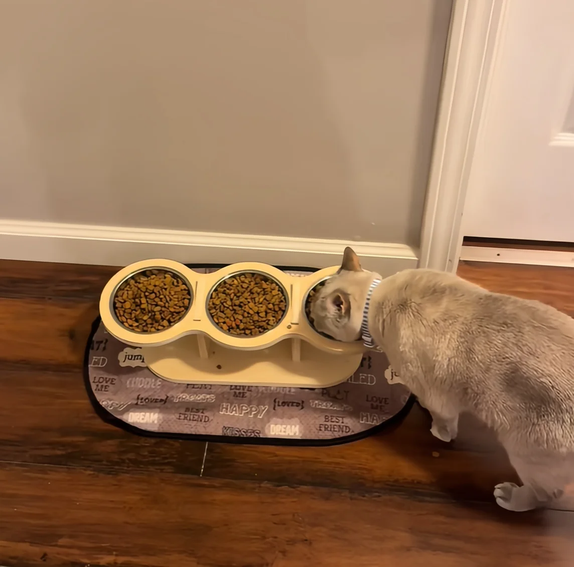 Cuenco elevado para gatos de 3 niveles con soportes de soporte, cuenco de comida para mascotas inclinado con soporte de ángulo ajustable de madera y acero inoxidable de 15 grados