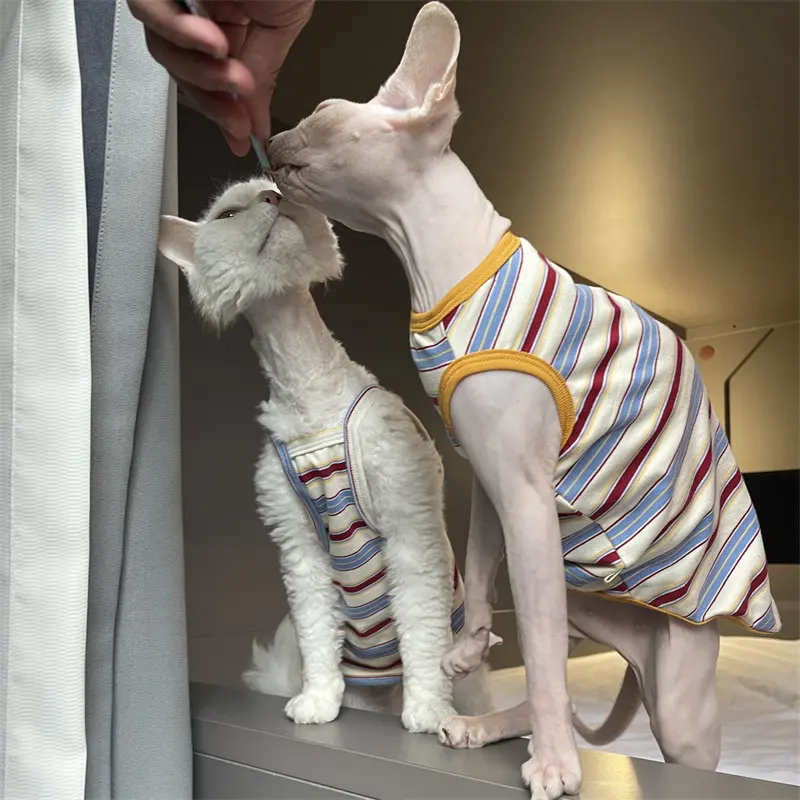 Camiseta ligera de verano para gatos sin pelo – Devon Rex y Sphynx - imagen 4