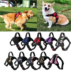Arnés anti tirones para perros Corgi y Chihuahua – chaleco resistente