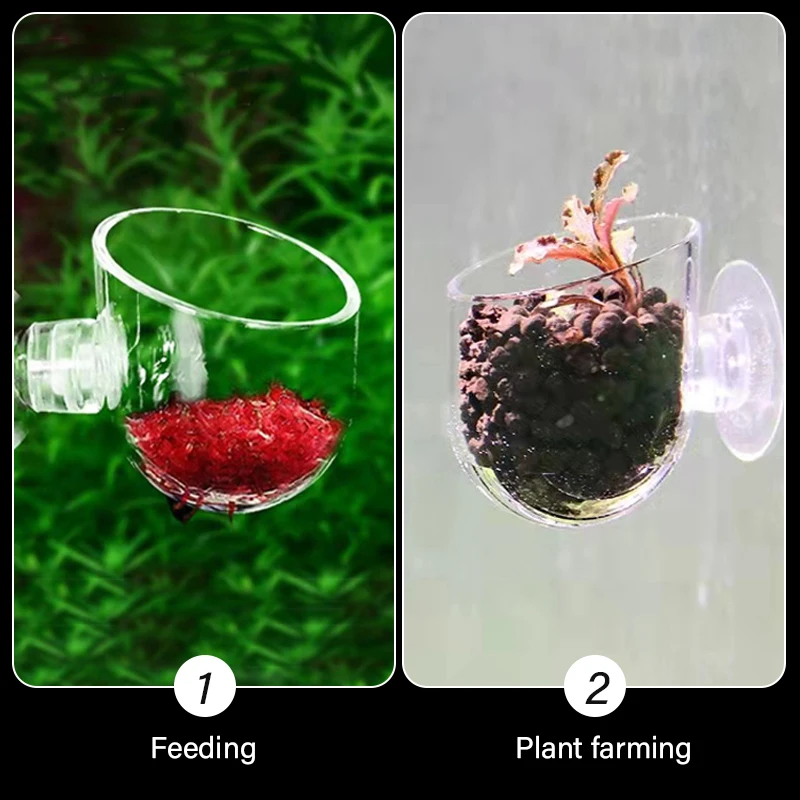 Decoración de acuario, maceta para plantas, taza acrílica para algas acuáticas con soporte de succión, Mini florero de jardinería, alimentador de gusanos rojos para pecera - imagen 4