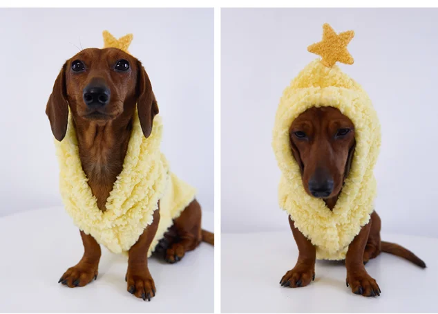 Abrigo grueso de invierno para perros salchicha