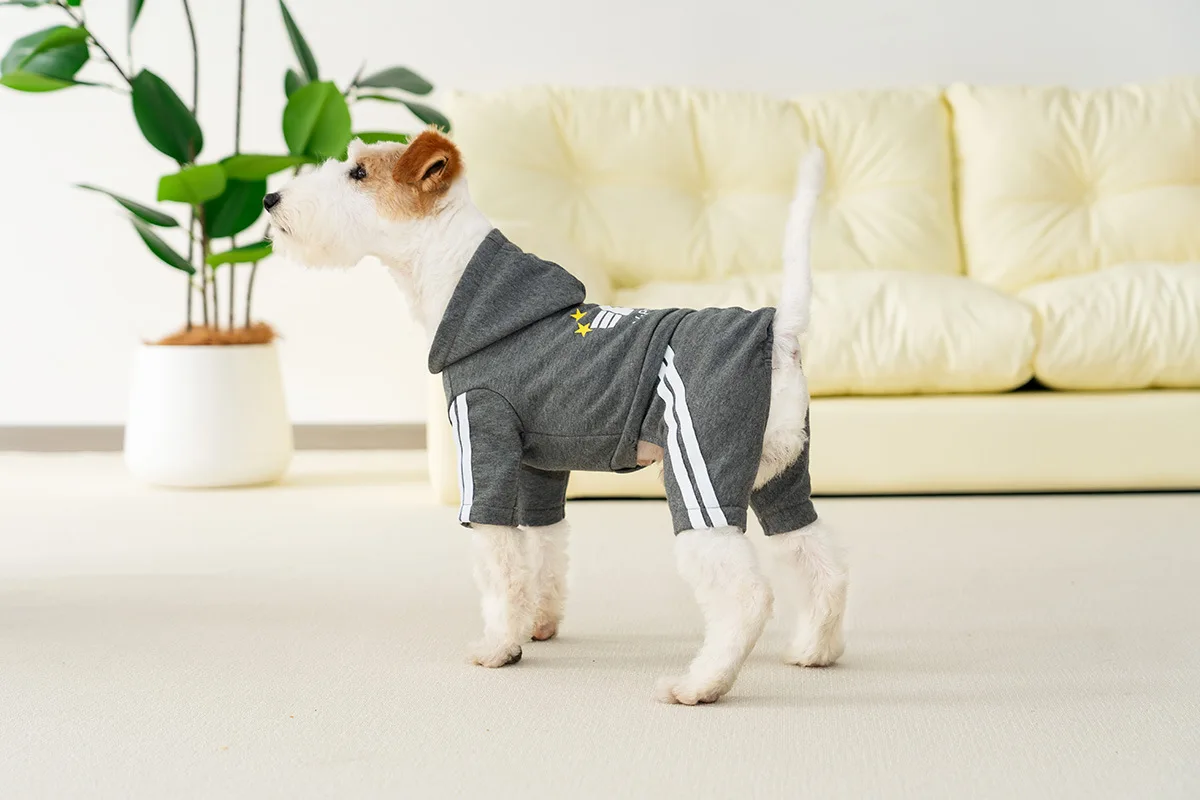 Mono de primavera para perros, ropa deportiva, Sudadera con capucha suave para perros, trajes de diseño de cuatro patas, ropa deportiva para mascotas para perros pequeños y medianos - imagen 2