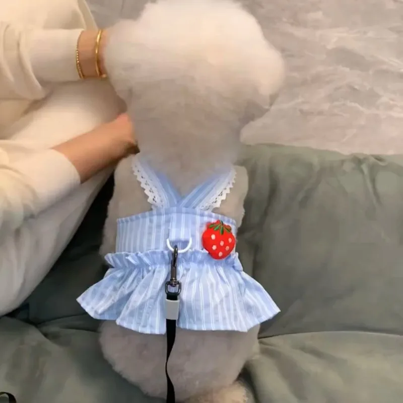 Vestidos para perros azul fresa, ropa para cachorros, primavera y verano, faldas de tracción finas y bonitas de princesa Sle Teddy Bichon para cachorros pequeños - imagen 2