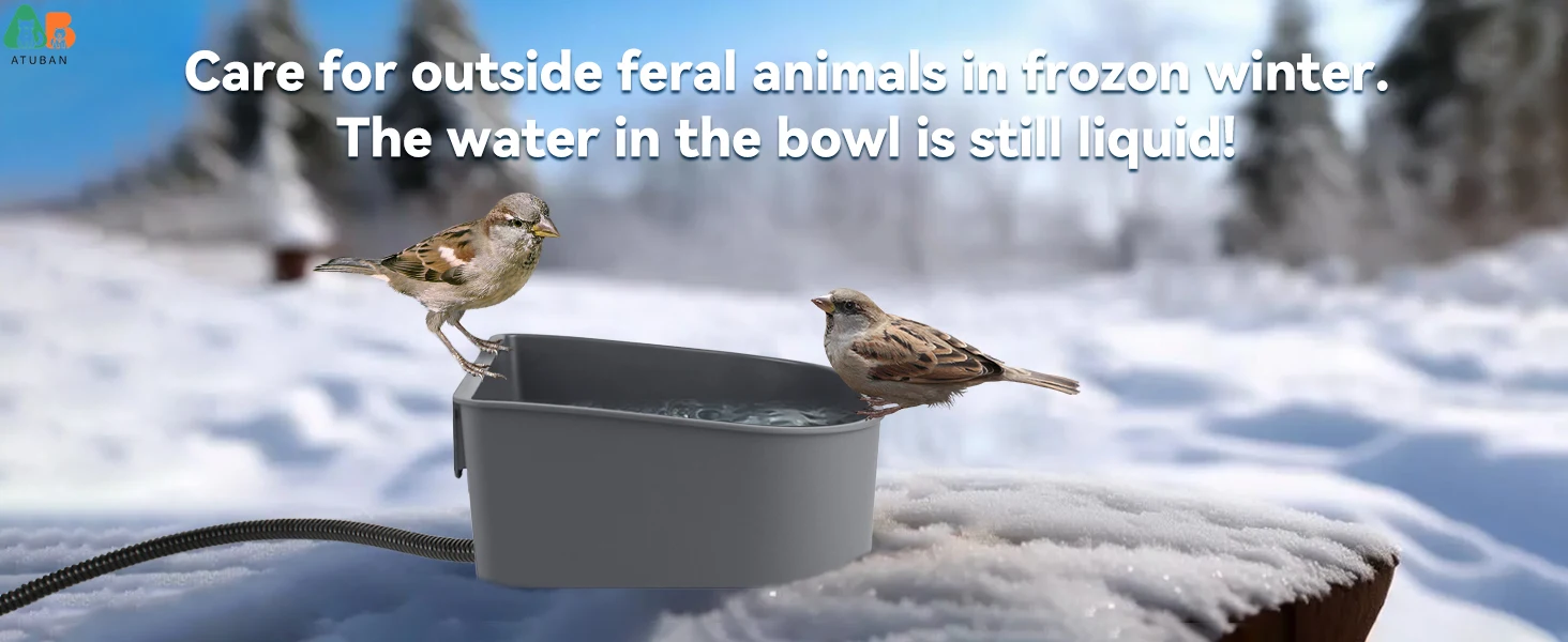 heated bowl for bird