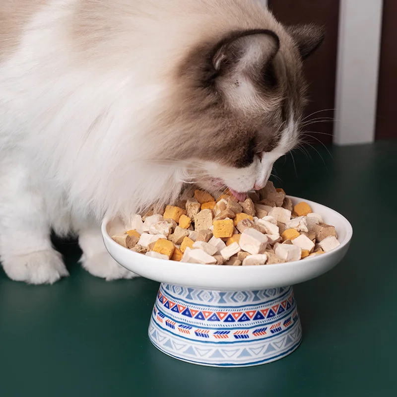 Cuenco de cerámica para mascotas de estilo bohemio a la moda, protección del cuello del pie alto, cuenco de comida para gatos, bebedero para gatos, suministros para mascotas y perros - imagen 2