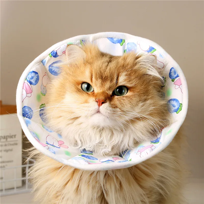 Collar isabelino para mascotas, Collar postoperatorio para gatos para perros pequeños, protección para lamer y morder, accesorios para el cuello de cachorro - imagen 2