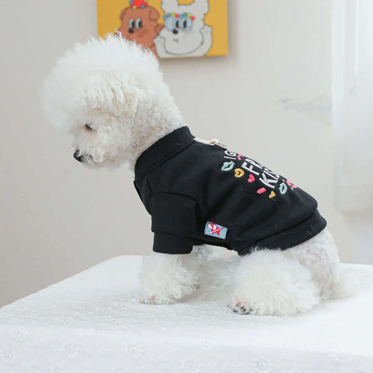 Ropa para perros de otoño e invierno, sudaderas con capucha con letras negras para perros pequeños y medianos, cárdigan para cachorros Yorkie, abrigo, ropa para mascotas, novedad de 2024 - imagen 5