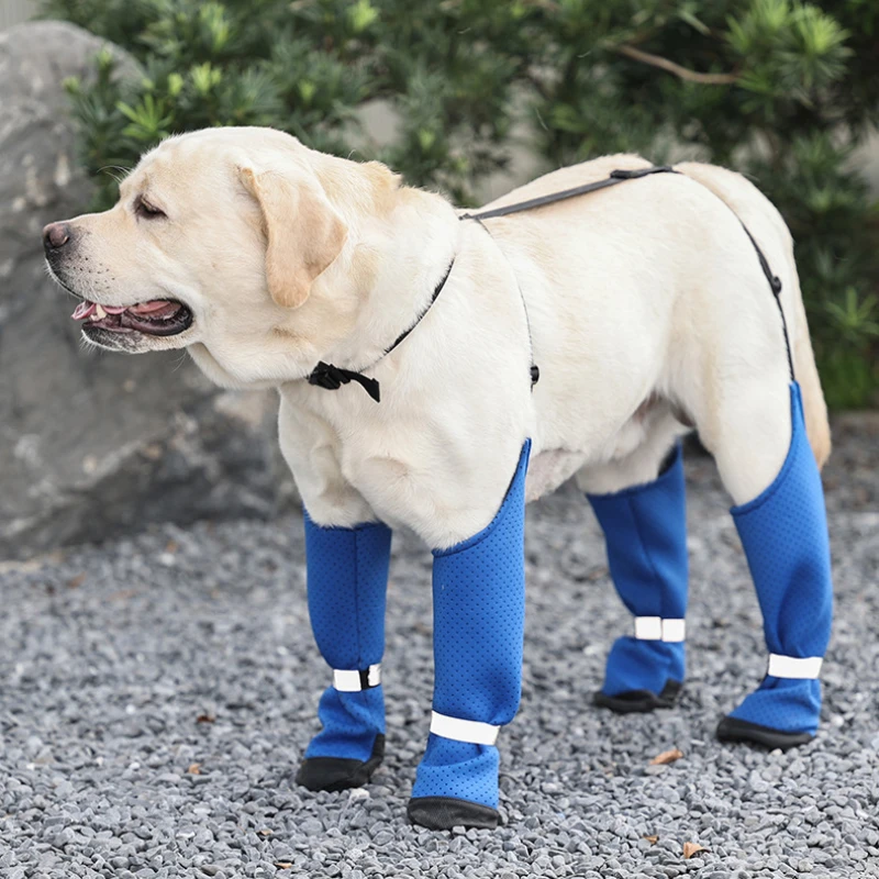 Zapatos de suela blanda para perros pequeños, zapatos transpirables para mascotas, calcetines de verano con fondo suave para cachorros, productos, accesorios - imagen 5