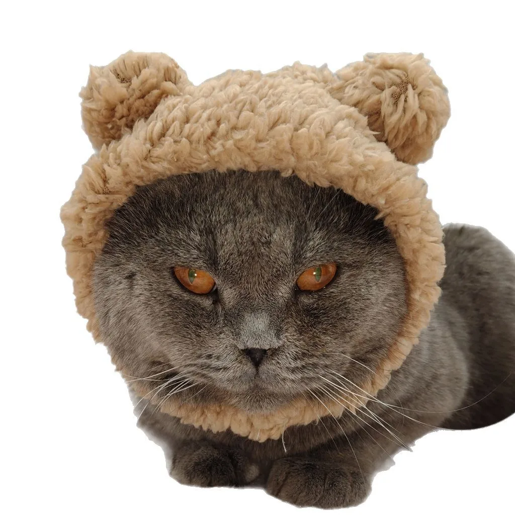 Lindo perro gato vestir sombrero divertido oso perro capucha oso de peluche foto sombreros decoración productos para mascotas - imagen 5