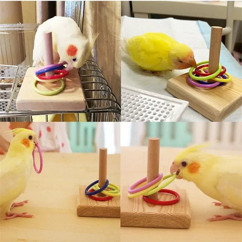 Nuevos juguetes para pájaros, juguetes de mesa, juguete de interacción de aprendizaje para trucos de pájaros, juego educativo, gimnasio, aire de juegos, actividades, pájaros pequeños, loros, juguetes - imagen 3